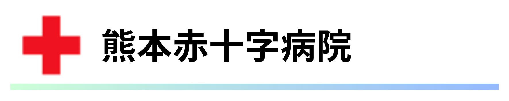 熊本赤十字病院.png